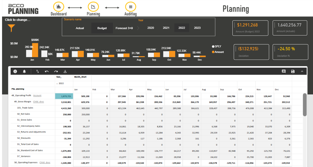 accoPLANNING P&L planning demo report in Power BI